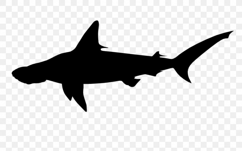 Sticker Decal Shark Clip Art Tattoo, PNG, 1024x639px, Sticker, Abziehtattoo, Animal, Art, Bull Shark Download Free