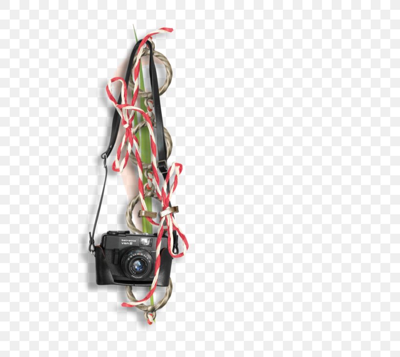 Video Camera, PNG, 600x733px, Camera, Closedcircuit Television, Electronics Accessory, Photography, Video Camera Download Free