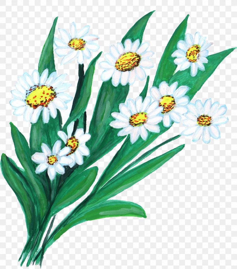 Flower Floristry Art, PNG, 932x1060px, Flower, Art, Artwork, Daisy, Daisy Family Download Free
