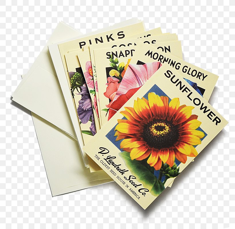 Paper Heirloom Plant Seed Plants Flower, PNG, 800x800px, Paper, Agriculture, Annual Plant, Box, Farmer Download Free