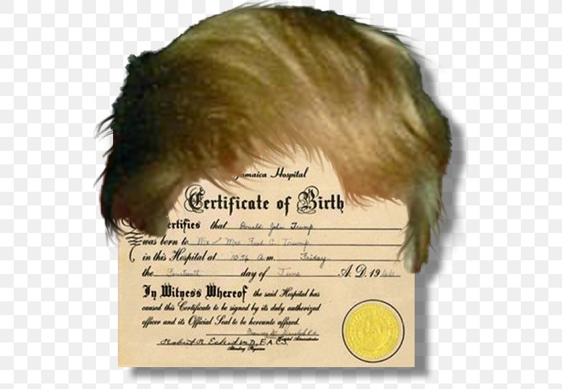 President Of The United States Birth Certificate Template Résumé, PNG, 548x568px, United States, Author, Barack Obama, Birth, Birth Certificate Download Free