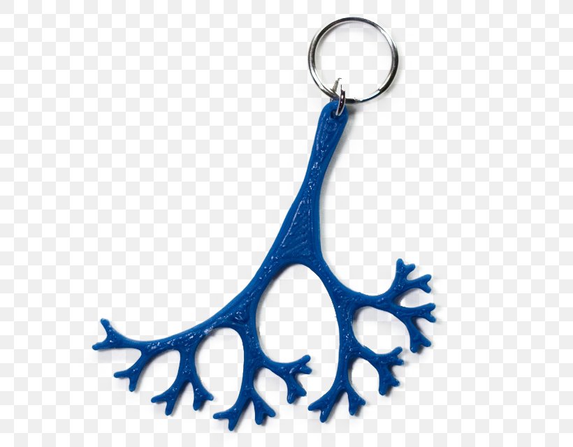 Body Jewellery Line Key Chains Clip Art, PNG, 640x640px, Body Jewellery, Antler, Body Jewelry, Fashion Accessory, Jewellery Download Free