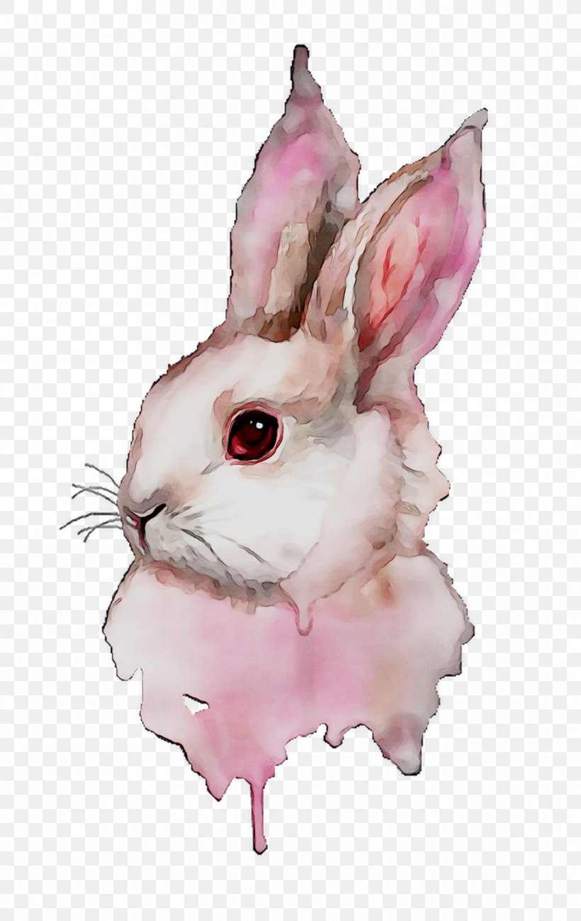 Domestic Rabbit Hare Easter Bunny Whiskers, PNG, 1089x1724px, Domestic Rabbit, Easter, Easter Bunny, Hare, Pink Download Free