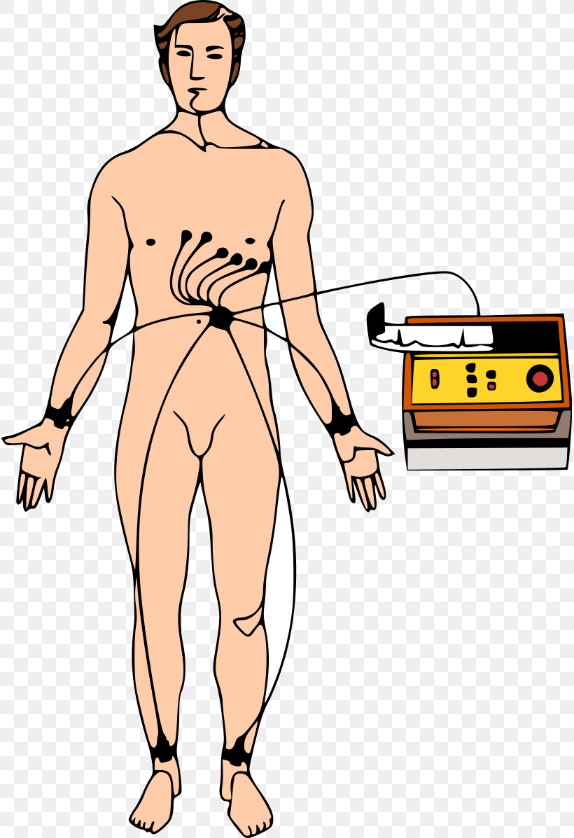 Electrocardiography QRS Complex Heart ST Segment P Wave, PNG, 815x1197px, Watercolor, Cartoon, Flower, Frame, Heart Download Free