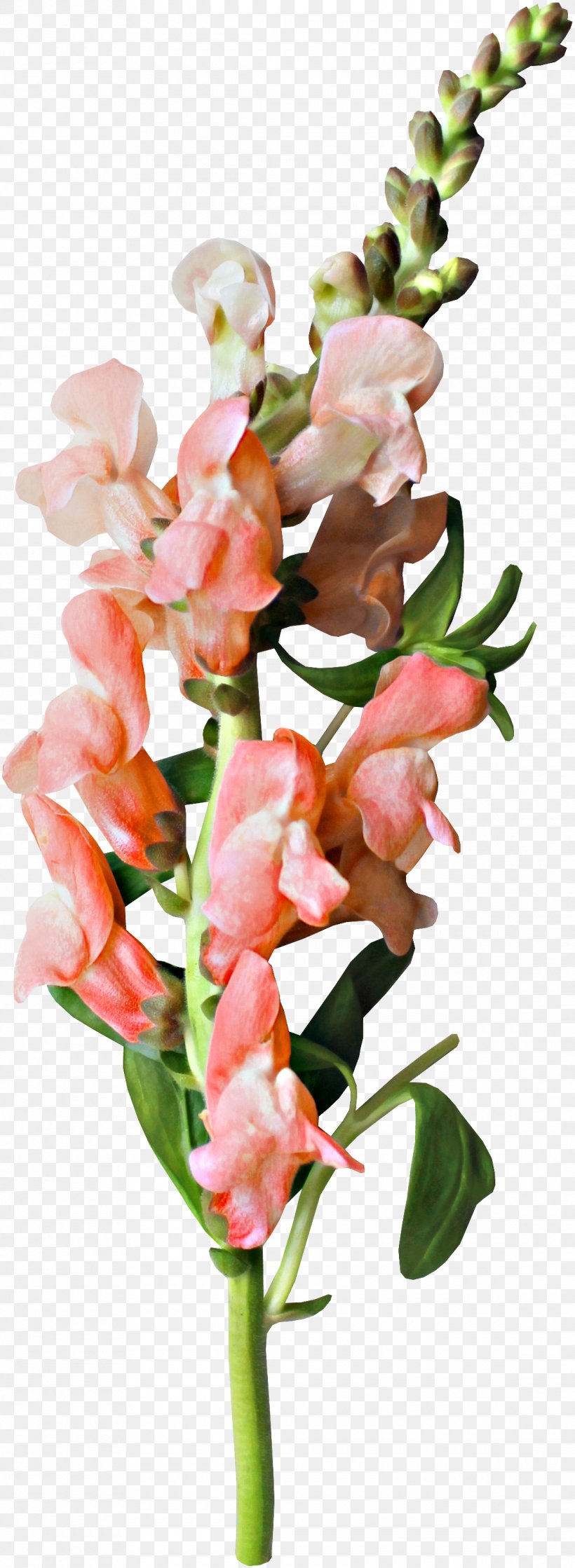 Flower Clip Art, PNG, 1140x3112px, Flower, Artificial Flower, Cut Flowers, Flora, Floral Design Download Free