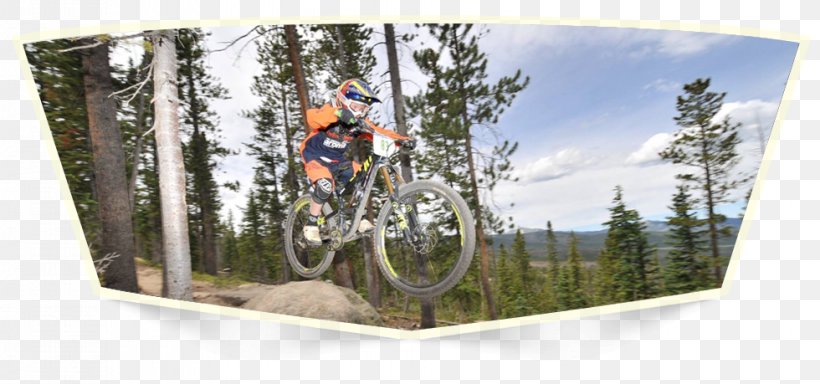 Mountain Bike Freeride Hybrid Bicycle BMX, PNG, 980x459px, Mountain Bike, Bicycle, Bicycle Motocross, Bmx, Freeride Download Free