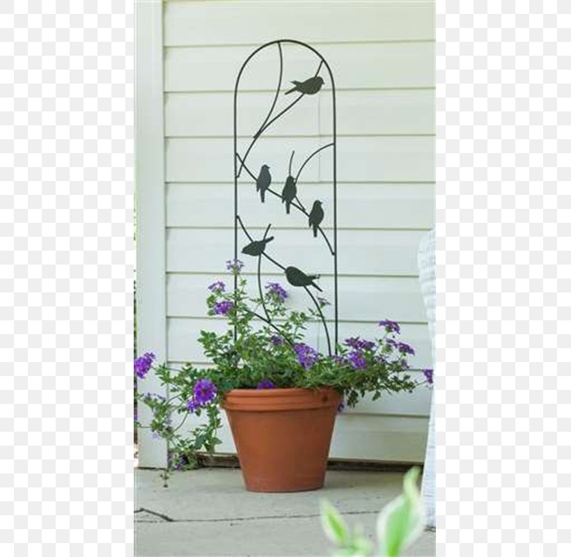 Trellis Flowerpot Gardening Vine, PNG, 800x800px, Trellis, Container Garden, Flowerpot, Garden, Garden Centre Download Free