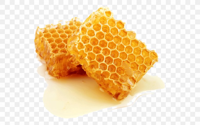 Bee Mānuka Honey, PNG, 957x600px, Bee, Dish, Food, Honey, Honey Bee Download Free