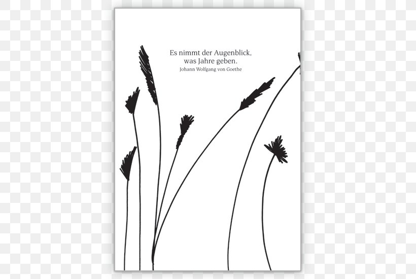Condolences Mourning Quotation Book Life, PNG, 635x550px, Condolences, Bird, Black, Black And White, Book Download Free