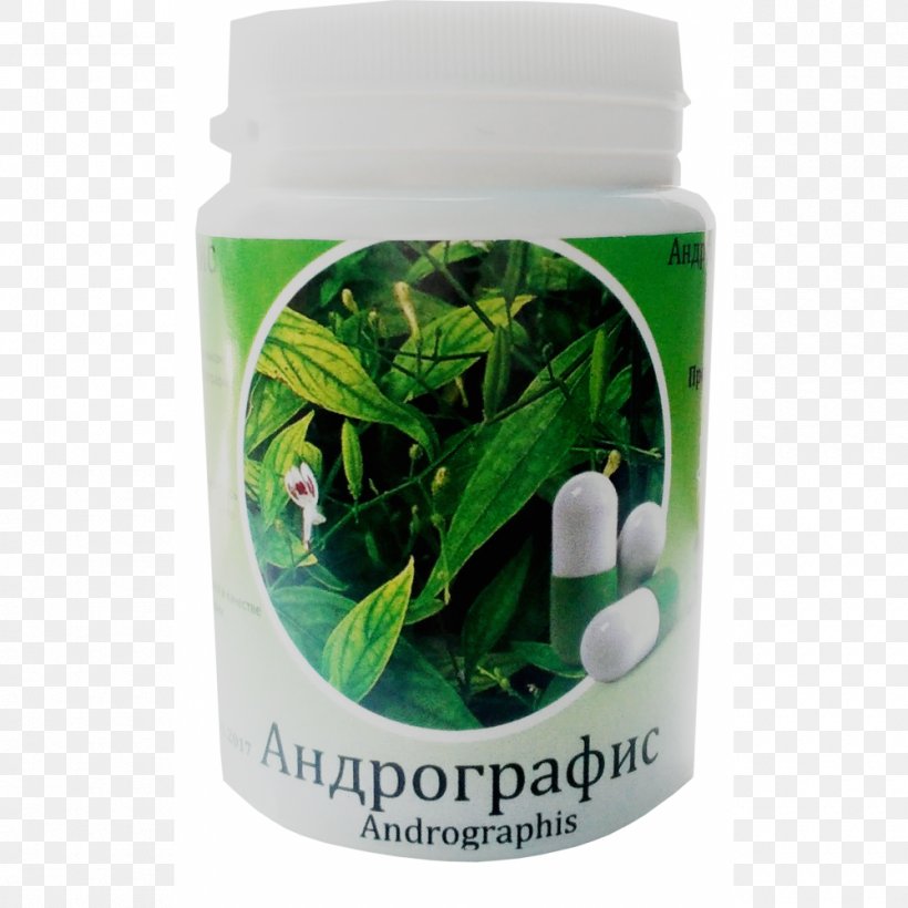 Green Chiretta Herbalism Ayurveda Medicine, PNG, 1000x1000px, Green Chiretta, Artikel, Ayurveda, Detoxification, Health Download Free