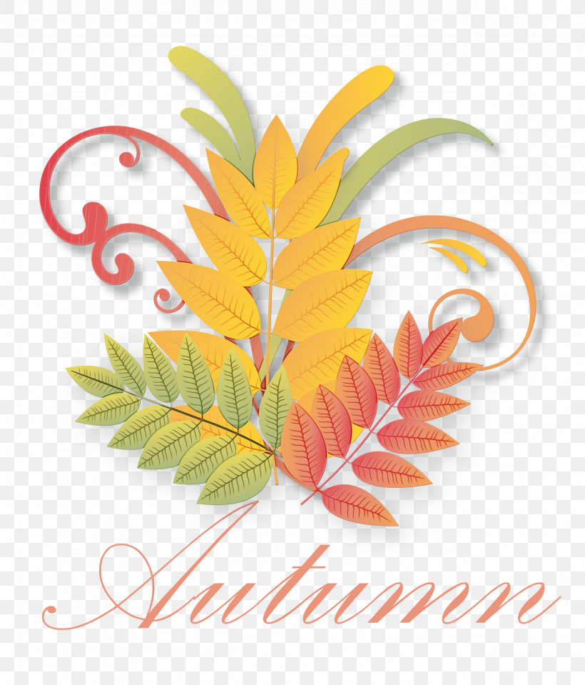 Maple Leaf, PNG, 2564x2999px, Hello Autumn, Acer Truncatum, Autumn, Branch, Deciduous Download Free