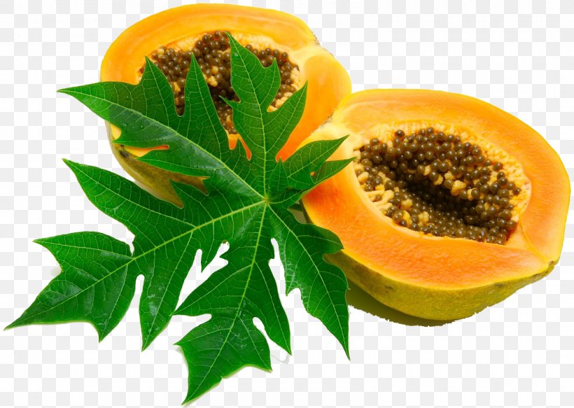 Papaya Leaf Juice Extract Syrup, PNG, 1600x1138px, Papaya, Cancer, Cure, Dried Fruit, Extract Download Free