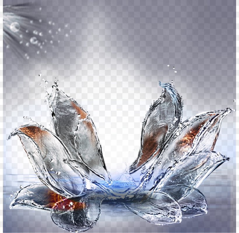 Water Glass, PNG, 800x800px, Water, Bottle, Crystal, Drop, Glass Download Free
