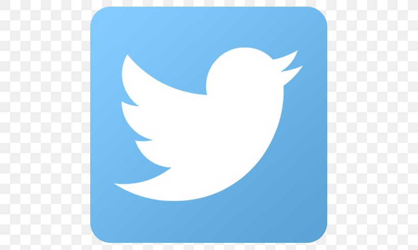 Social Media Advertising Logo, PNG, 512x490px, Social Media, Advertising, Beak, Bird, Http Cookie Download Free