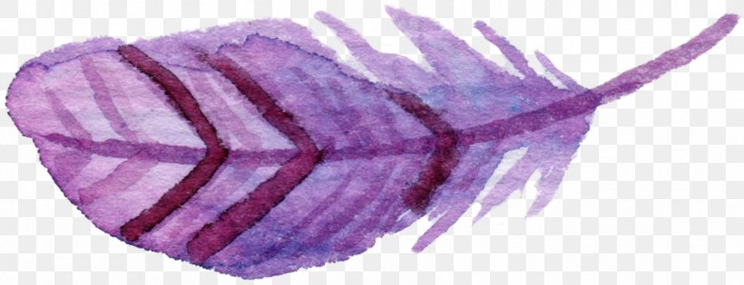 Feather Copyright Clip Art, PNG, 1690x651px, Feather, Blue, Breakfast, Copyright, Highdefinition Television Download Free