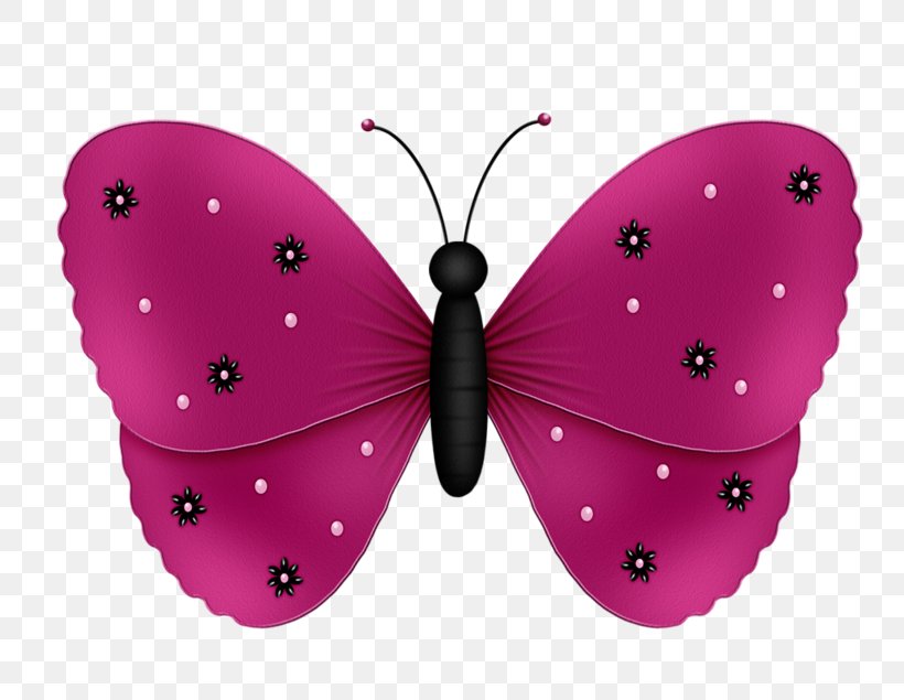 Butterfly Butterflies & Insects Clip Art, PNG, 800x635px, Butterfly, Animal, Arthropod, Brush Footed Butterfly, Butterflies And Moths Download Free