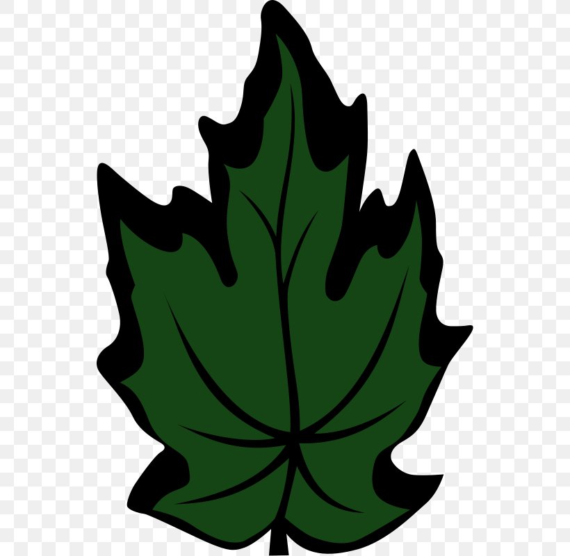 Maple Leaf Clip Art, PNG, 542x800px, Leaf, Arecaceae, Botany, Fanleaved Palms, Flower Download Free