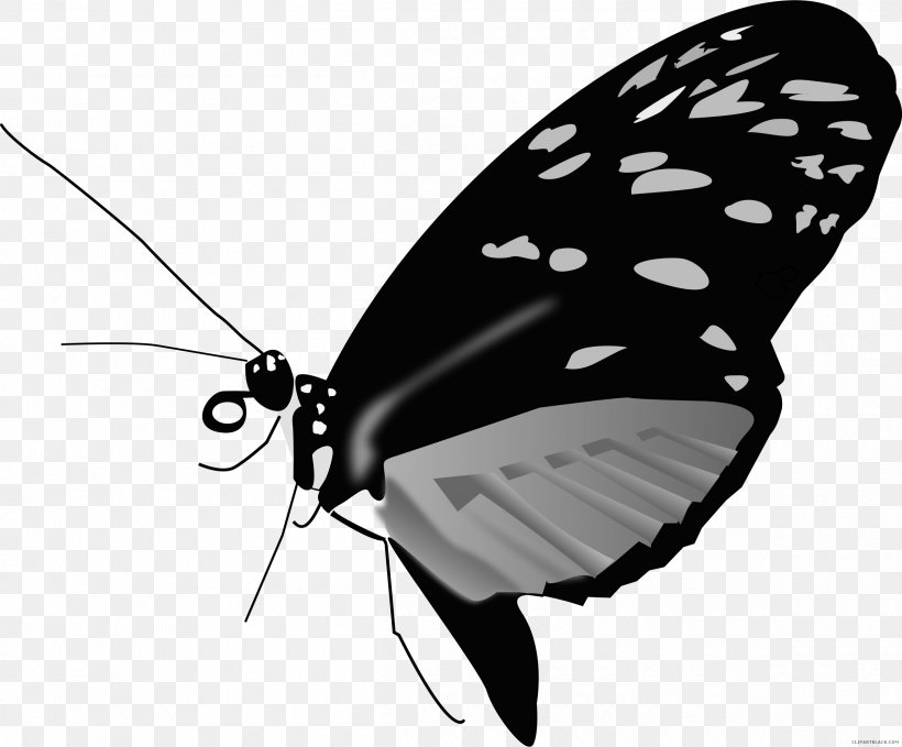 Monarch Butterfly Clip Art Image, PNG, 2400x1990px, Monarch Butterfly, Arthropod, Black And White, Brush Footed Butterfly, Brushfooted Butterflies Download Free