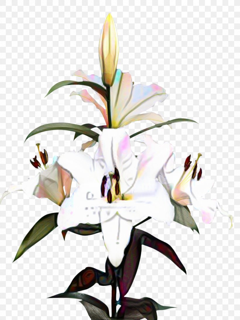 Clip Art Madonna Lily Image Desktop Wallpaper, PNG, 1200x1600px, Madonna Lily, Anthurium, Blog, Botany, Bulb Download Free