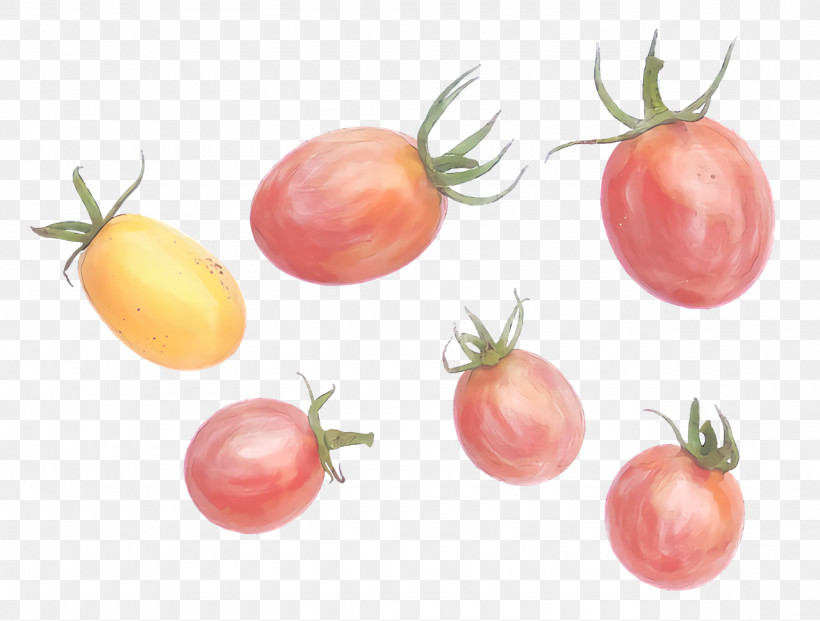 Tomato, PNG, 1280x970px, Bush Tomato, Apple, Datterino Tomato, Local Food, Natural Foods Download Free