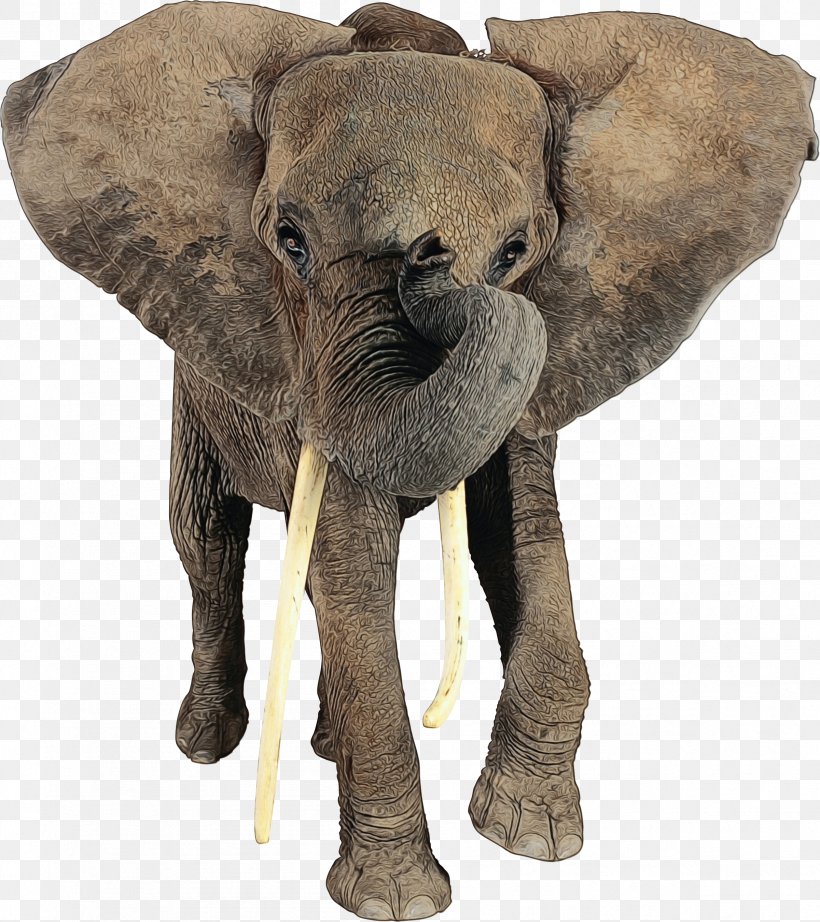 African Elephant Indian Elephant Tusk Terrestrial Animal, PNG, 2401x2700px, African Elephant, Animal, Animal Figure, Elephant, Elephants And Mammoths Download Free