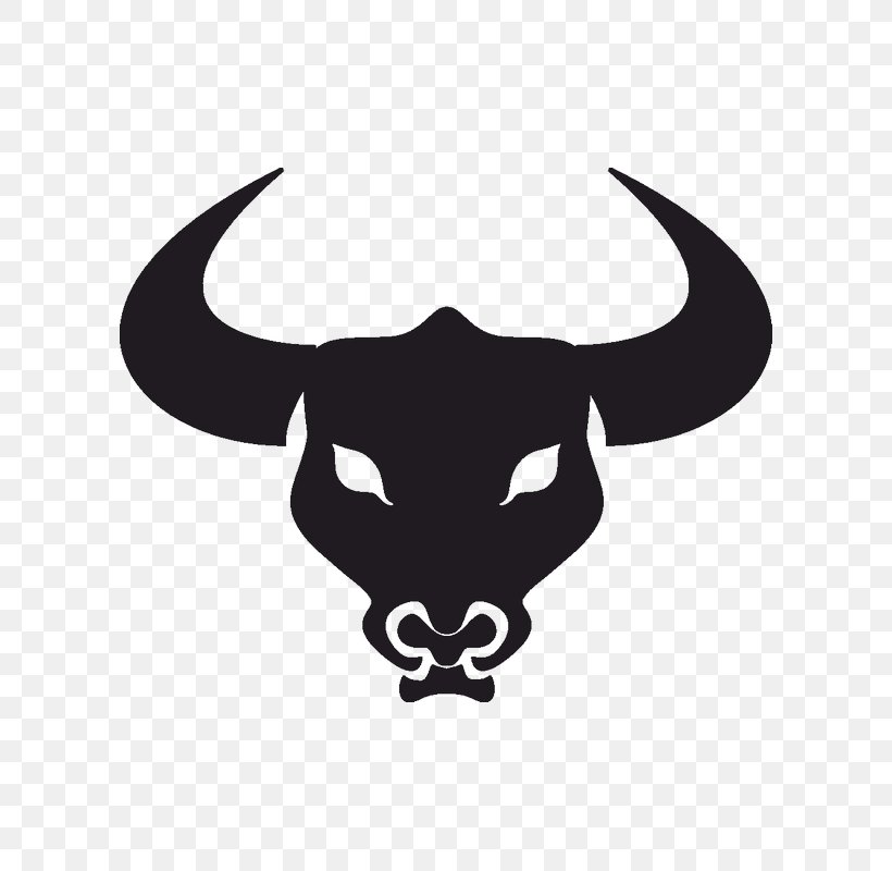 Cattle Bull Drawing, PNG, 800x800px, Cattle, Art, Black And White, Bone, Bull Download Free