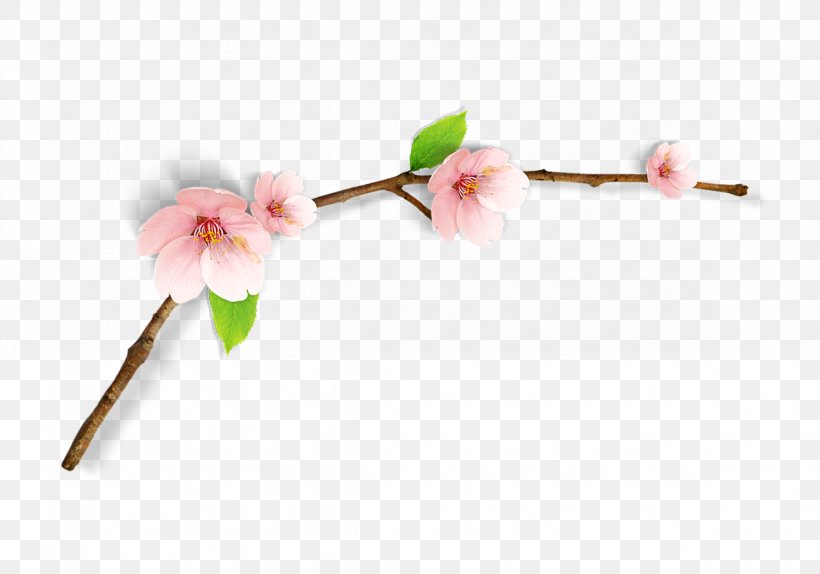 Cherry Blossom Clip Art, PNG, 1181x827px, Cherry Blossom, Blossom, Branch, Flower, Peach Download Free
