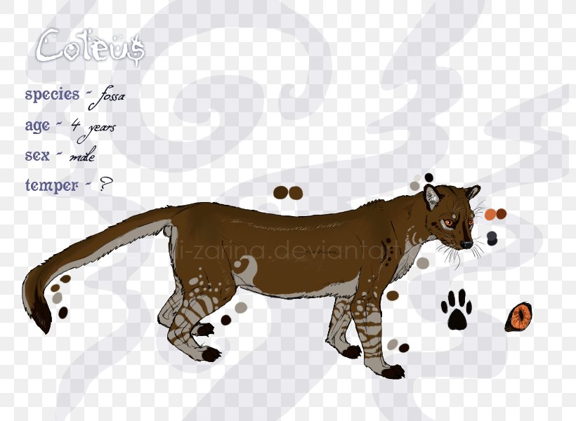 Lion Cat Fossa Lemurs Mammal, PNG, 800x600px, Lion, Anatomy, Animal, Art, Big Cat Download Free