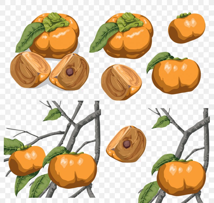 Persimmon Clementine Calabaza Food, PNG, 1024x972px, Persimmon, Calabaza, Citrus, Clementine, Cucurbita Download Free
