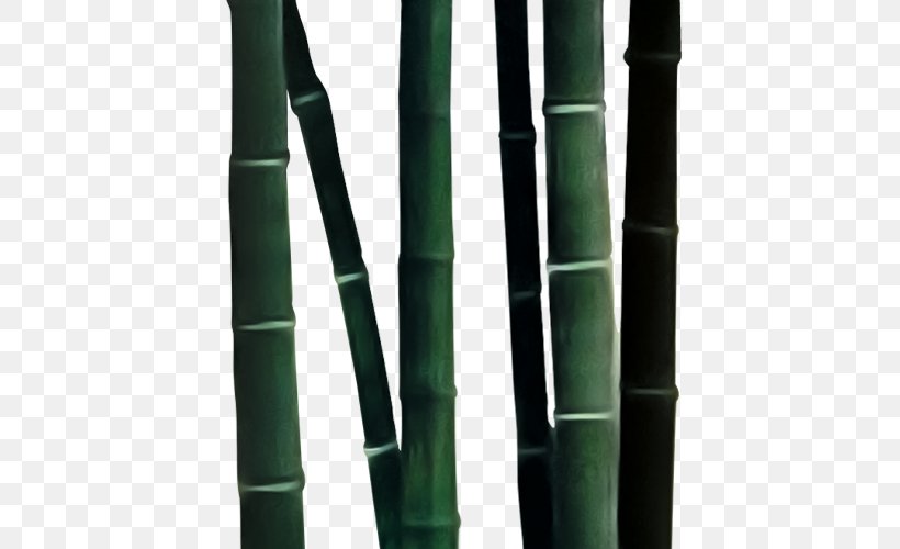 Bamboo Bambusa Oldhamii Download, PNG, 500x500px, Bamboo, Bambusa Oldhamii, Chemical Element, Co Cou90fdu53ef, Green Download Free