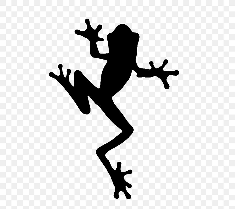 Frog Silhouette Clip Art, PNG, 557x730px, Frog, Amphibian, Art, Black And White, Frog Mug Download Free