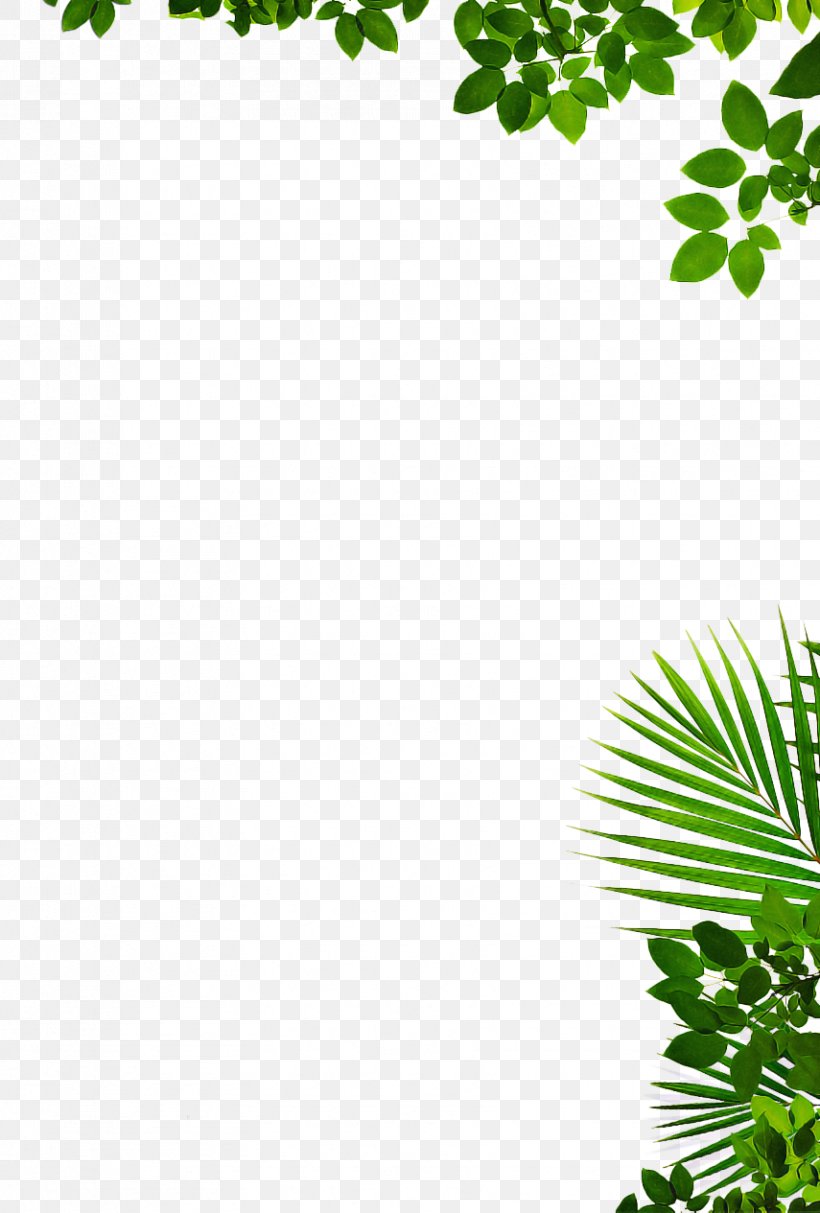 Green Leaf Background, PNG, 855x1265px, Topiary, Basement, Branch, Do It Yourself, Flower Download Free