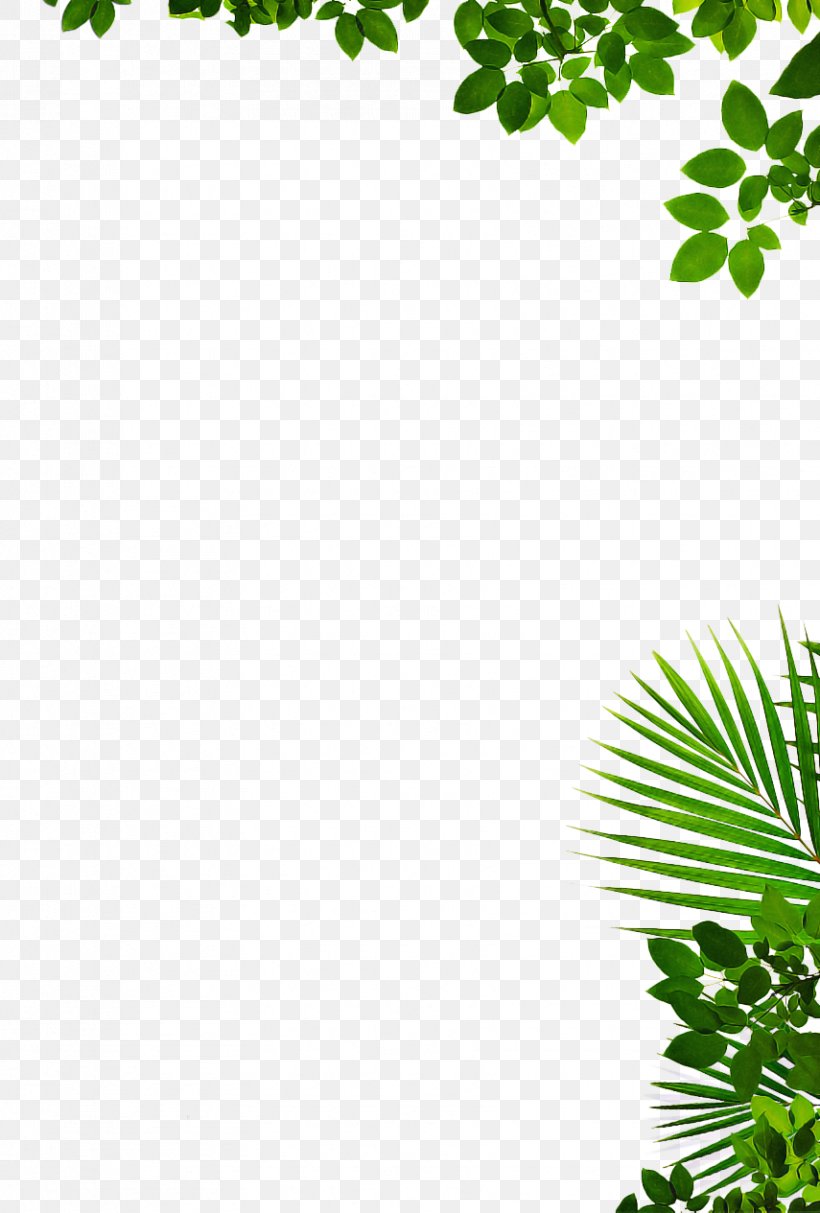 Green Leaf Background Png 855x1265px Topiary Basement Branch Do It Yourself Flower Download Free