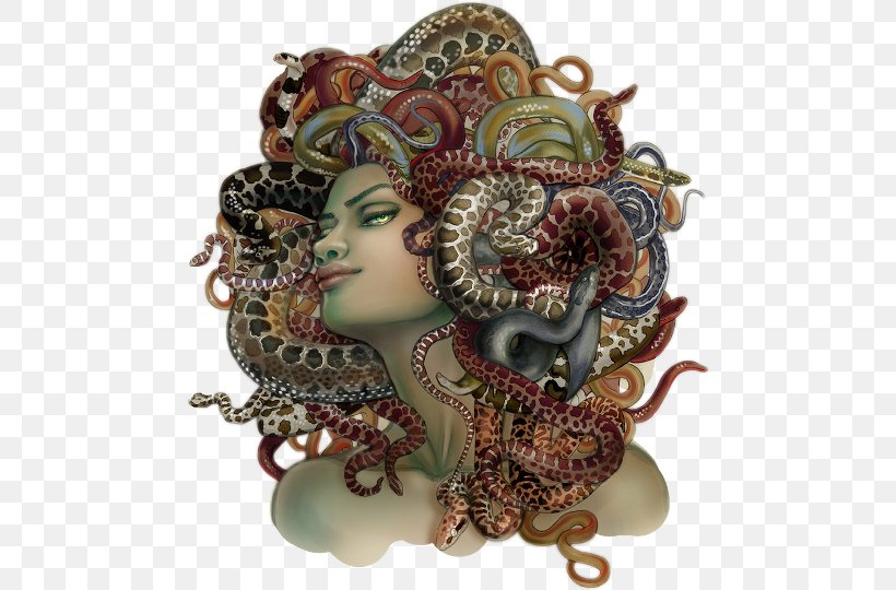 Medusa Book The Gorgon Greek Mythology Women & Power: A Manifesto, PNG, 480x540px, Medusa, Art, Athena, Book, Book Cover Download Free