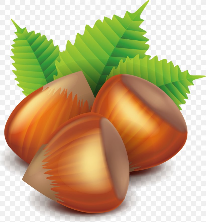 Nucule Euclidean Vector, PNG, 987x1066px, Hazelnut, Commodity, Dried Fruit, Food, Fruit Download Free
