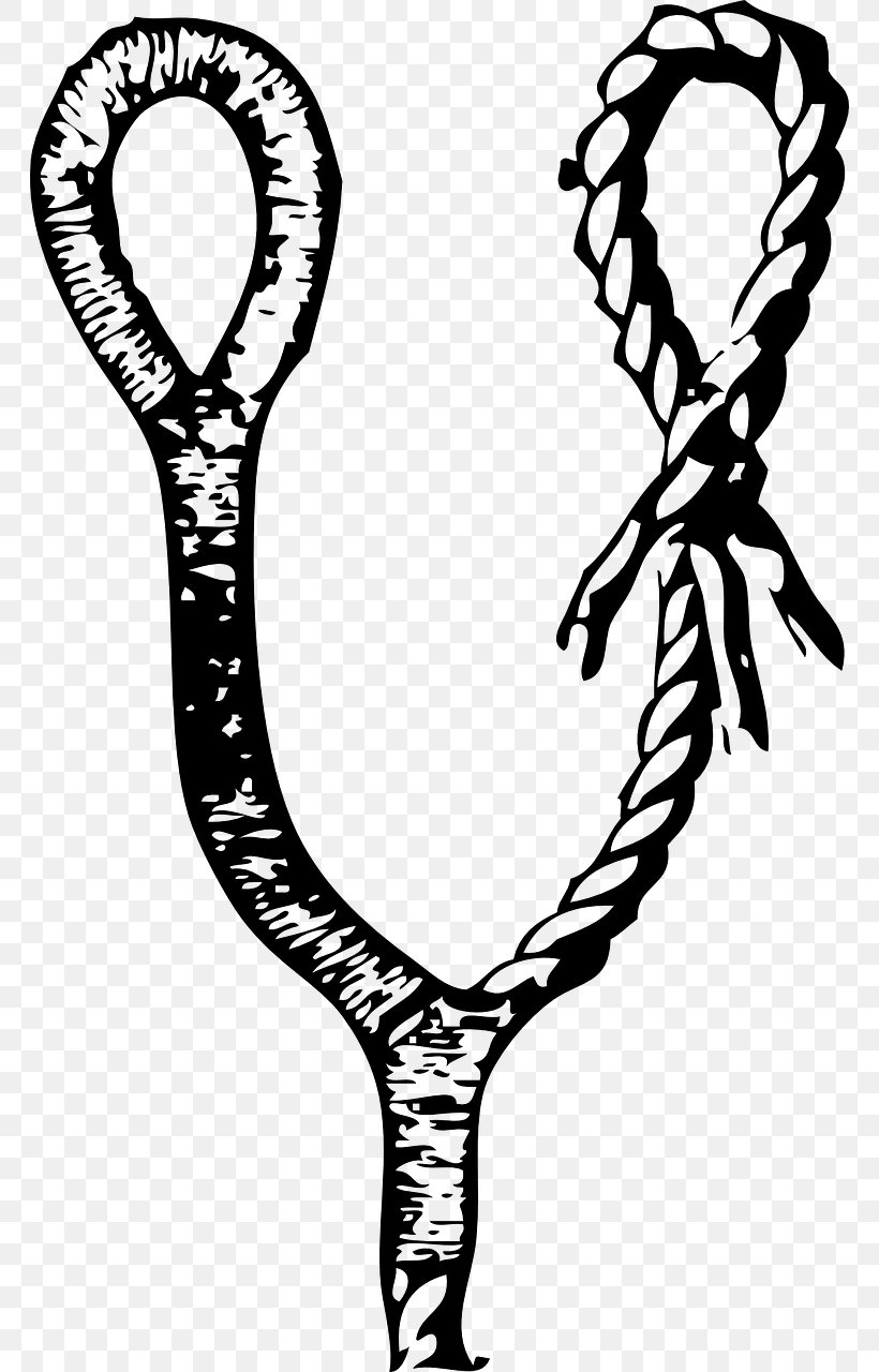 Seizing Knot Rope Clip Art, PNG, 764x1280px, Seizing, Black And White, Body Jewelry, Carrick Bend, Drawing Download Free