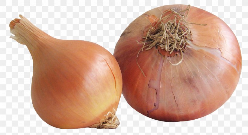 Yellow Onion Vegetable Shallot Food, PNG, 1625x889px, Shallot, Allium, Allium Chinense, Chives, Food Download Free