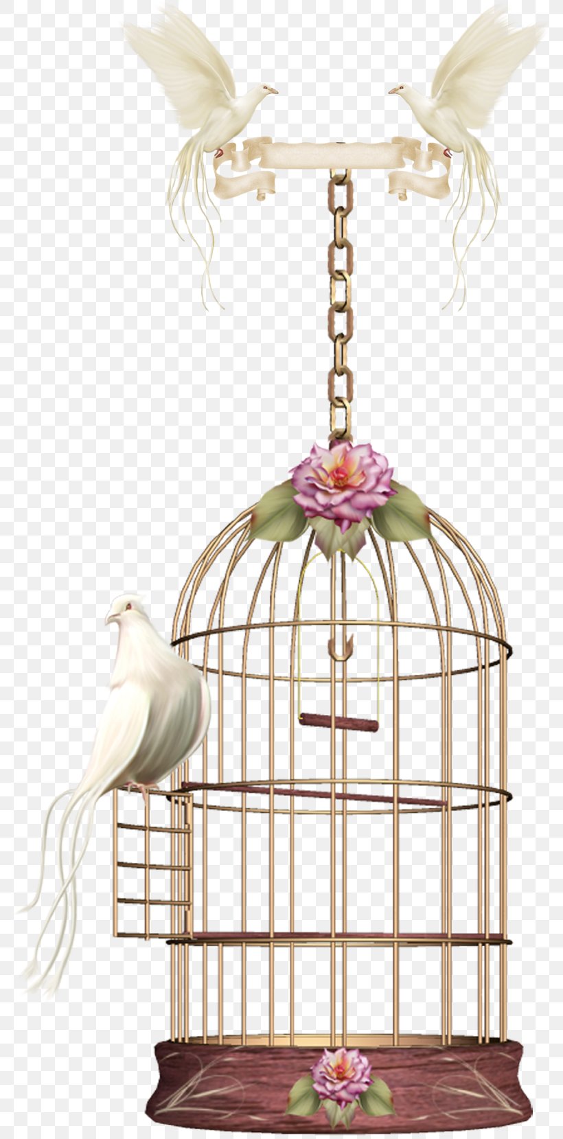 Birdcage Parrot, PNG, 786x1659px, Bird, Bird Nest, Birdcage, Cage, Light Fixture Download Free