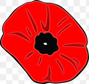 Armistice Day Poppy Clip Art, PNG, 1600x1503px, Armistice Day, Anzac ...