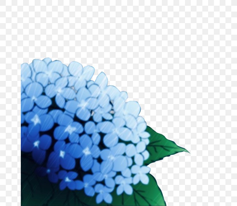 Flower Watercolor Painting, PNG, 675x713px, Flower, Blue, Cornales, Cut Flowers, Floral Design Download Free