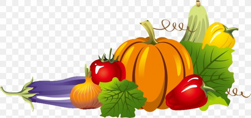 Fruit Flip And Match Vegetables, PNG, 849x402px, Fruit, Bell Peppers And Chili Peppers, Cabbage, Calabaza, Cartoon Download Free