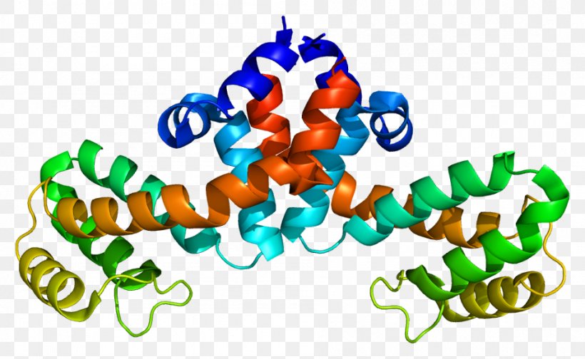 RGS1 Regulator Of G Protein Signaling Gene, PNG, 946x582px, Protein, Cell, Cell Membrane, Dna, G Alpha Subunit Download Free