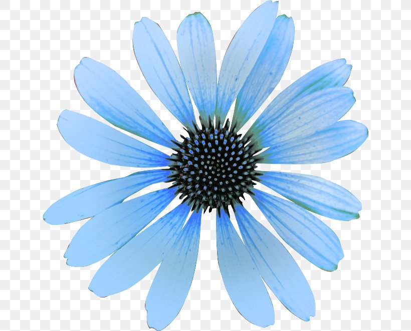 Sky Blue Flower Clip Art, PNG, 650x662px, Blue, Animation, Birthday, Blog, Color Download Free