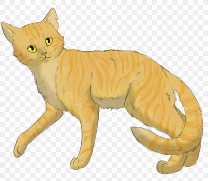 Cat Warriors Tigerstar Goldenflower The Last Hope, PNG, 900x783px, Cat, American Wirehair, Animal Figure, Art, Book Download Free