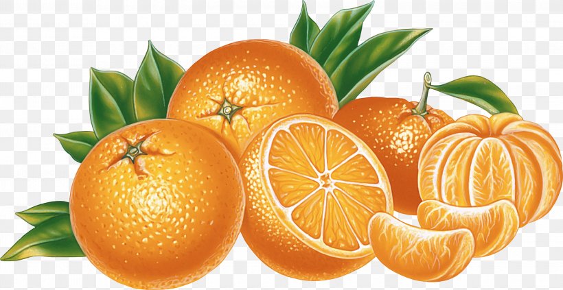 Citrus × Sinensis Orange Clip Art, PNG, 3000x1550px, Orange, Bitter Orange, Chenpi, Citric Acid, Citrus Download Free