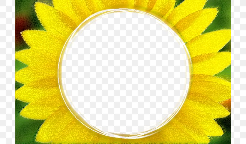 Common Sunflower, PNG, 720x480px, Common Sunflower, Dictionary, Flower, Grass, Information Download Free