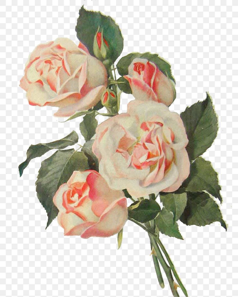 Flower Bouquet Rose Pink, PNG, 779x1024px, Flower, Antique, Artificial Flower, Cut Flowers, Floral Design Download Free