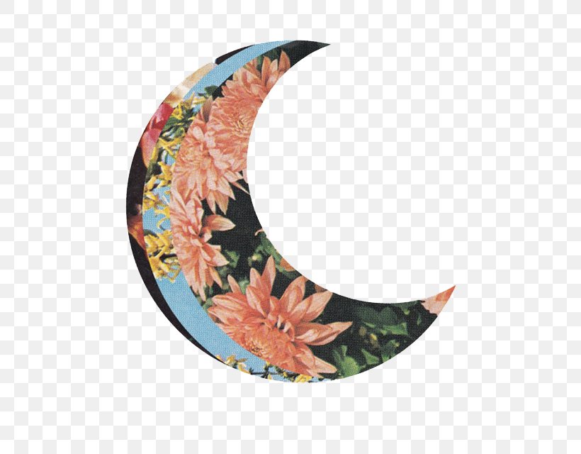 New Moon Lunar Phase Flower Image, PNG, 495x640px, Moon, Crescent, Flower, Leaf, Lunar Calendar Download Free