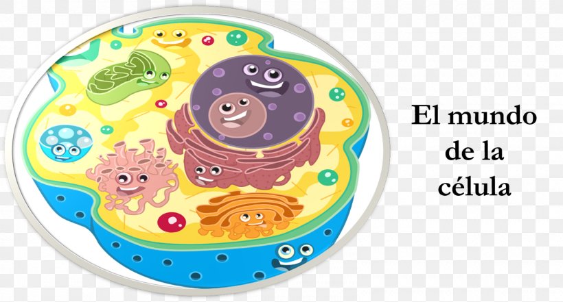 Plant Cell Cèl·lula Eucariota Organelle Organism, PNG, 1600x861px, Cell, Area, Baby Toys, Biology, Cell Membrane Download Free