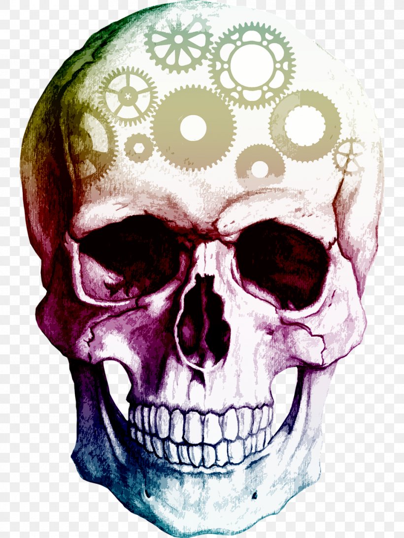 Skull Human Skeleton Clip Art, PNG, 960x1280px, Skull, Bone, Drawing, Head, Homo Sapiens Download Free